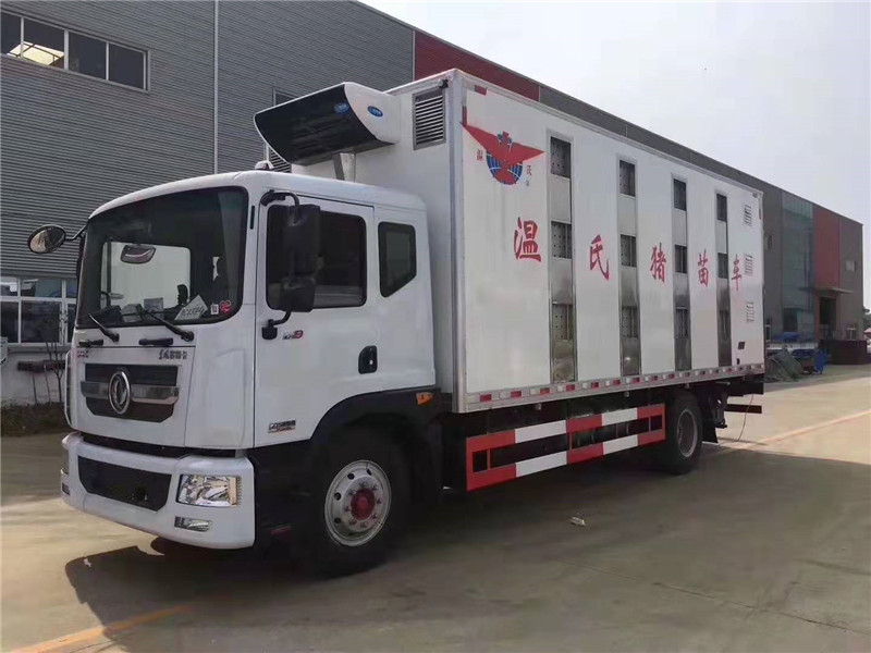 東風(fēng)多利卡6米8豬苗運輸