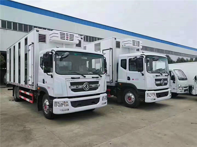 東風(fēng)多利卡國六6米6仔豬